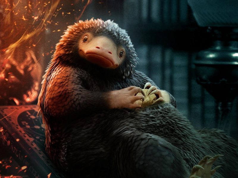 escarbato niffler wallpapers