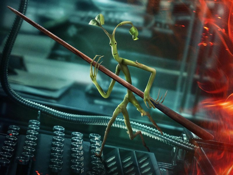 pickett bowtruckle fondo pantalla