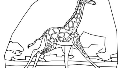 Dibujos de jirafas para imprimir y colorear gratis