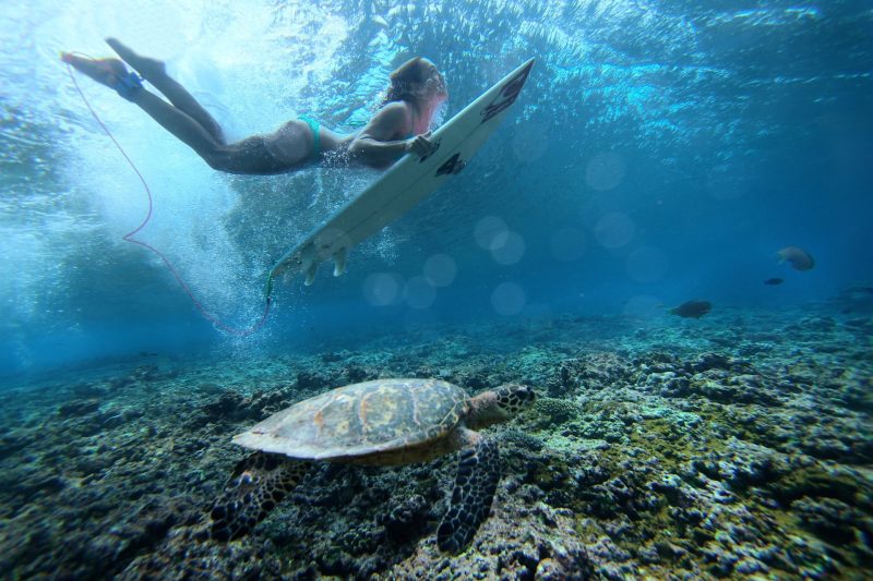 chica surfista bajo el agua