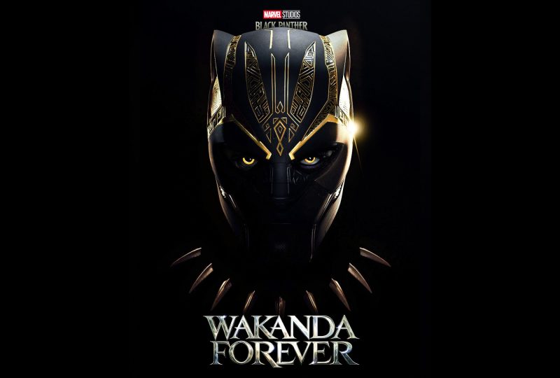 black panther wakanda forever fondos pantalla