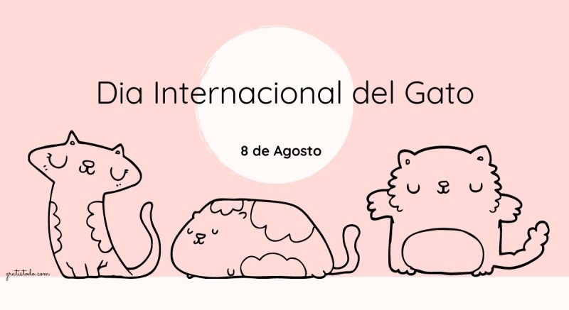 dia del gato