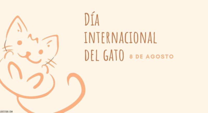 dia internacional del gato 8 agosto imagenes