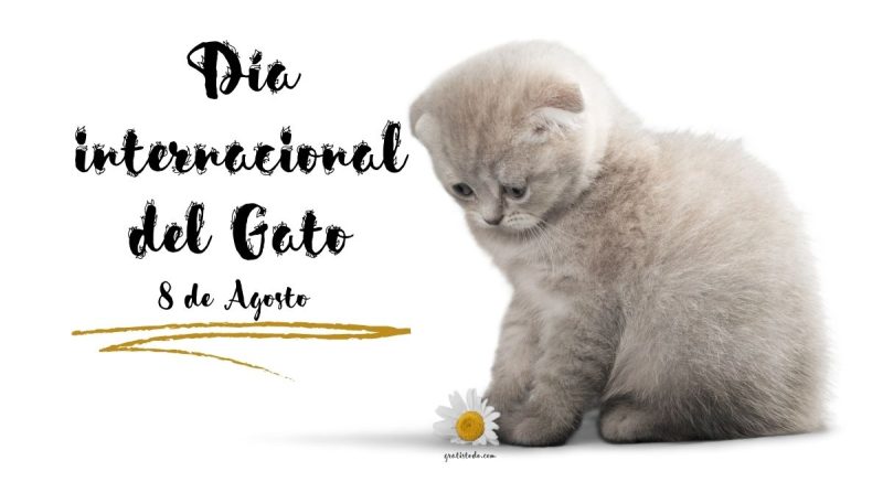 dia internacional del gato imagenes