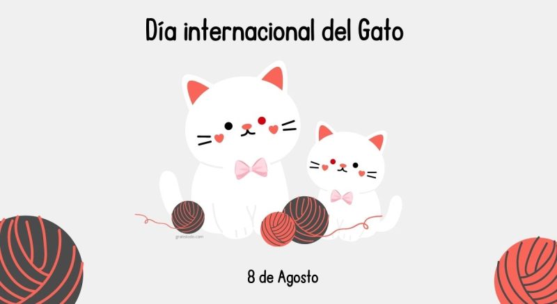dia internacional gato