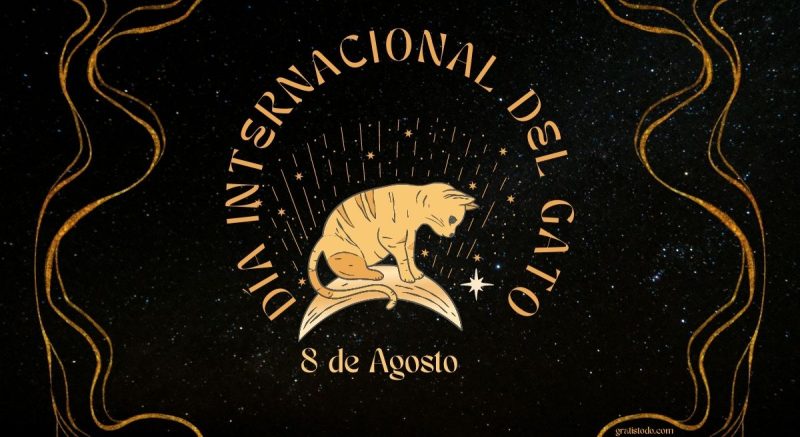 feliz dia internacional del gato