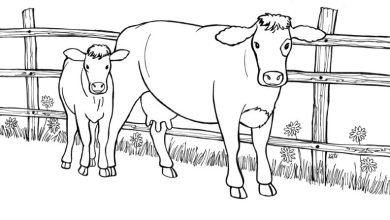 Dibujos de vacas para colorear