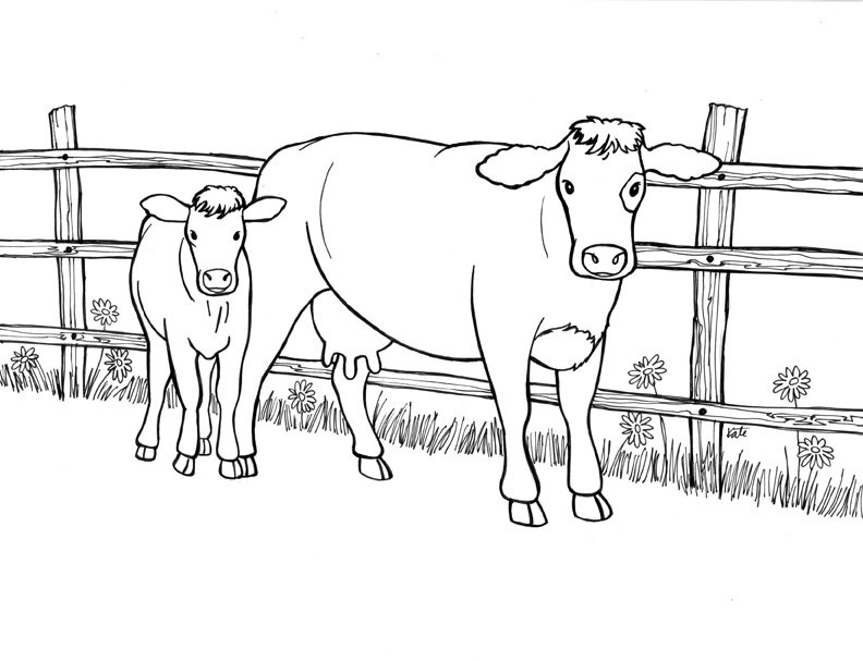 Dibujos de vacas para dibujar, colorear y pintar