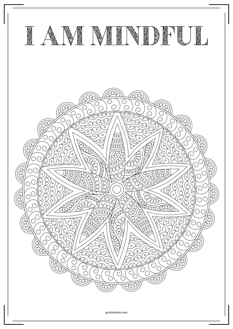 mandalas i am mindful adult coloring