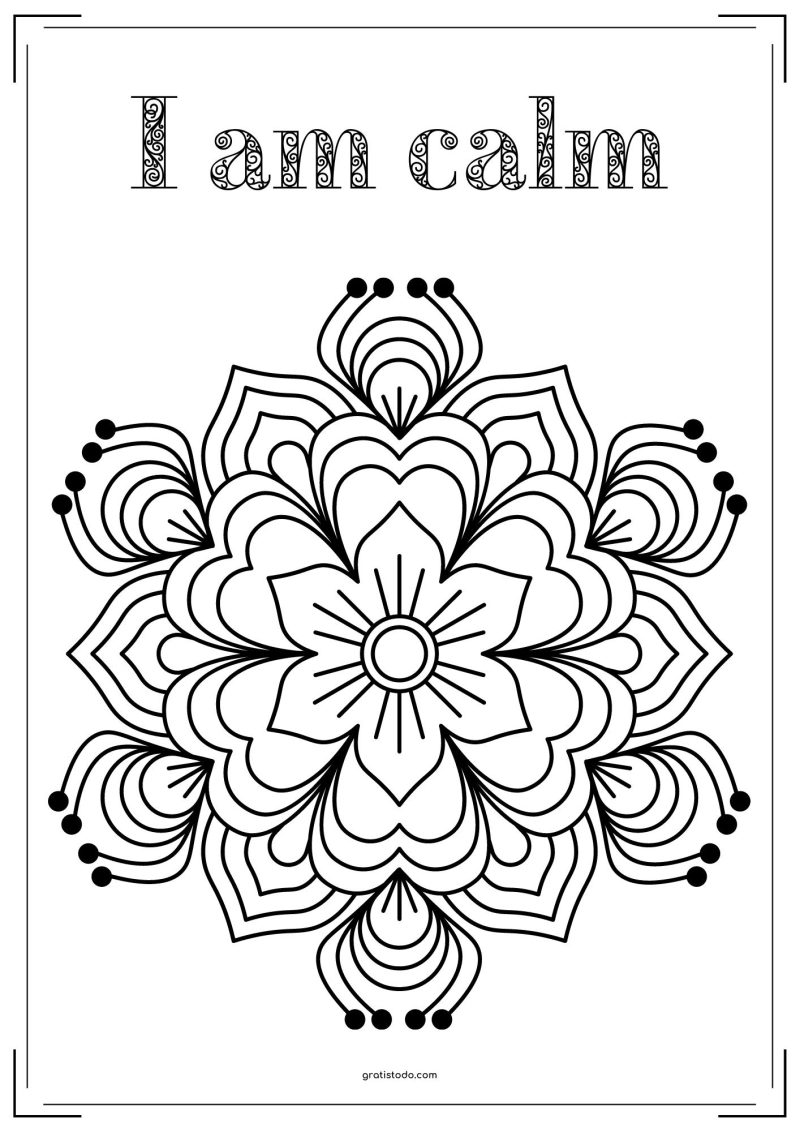 mandalas i am calm mindfulness adult coloring