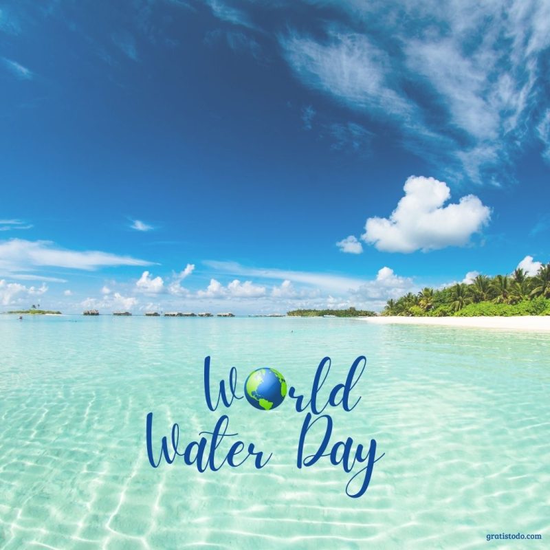 22 march world water day