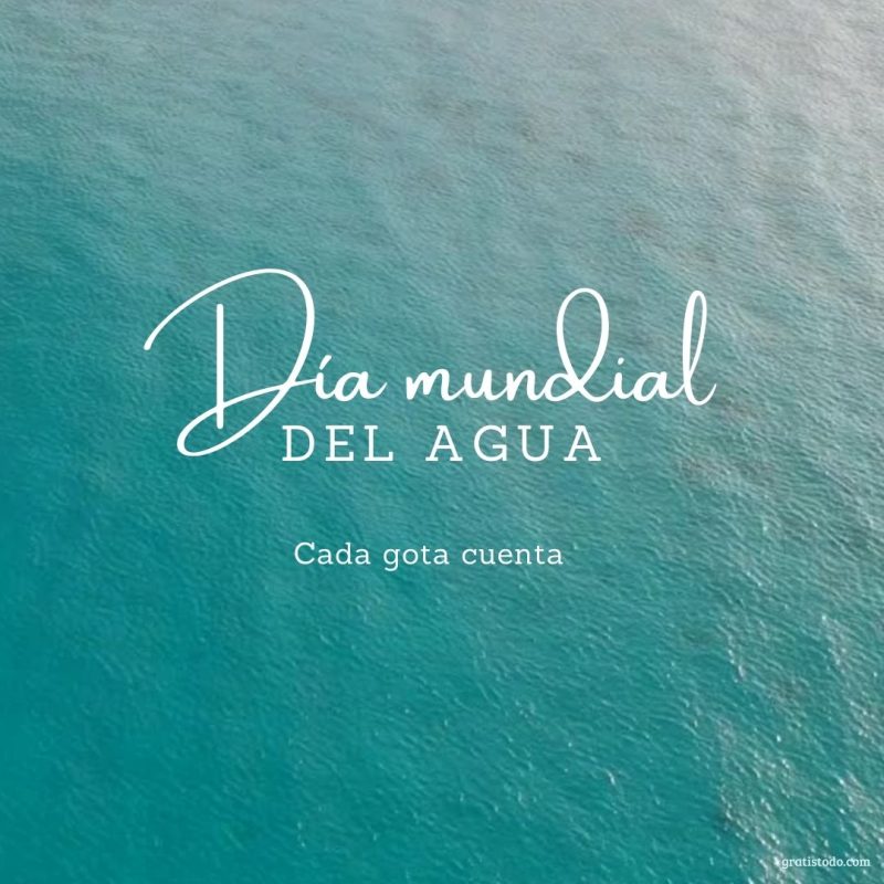 día mundial del agua cada gota cuenta