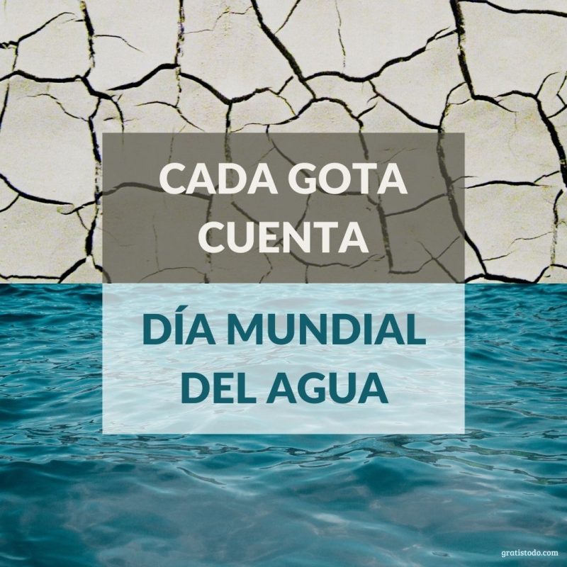 día mundial del agua cada gota cuenta